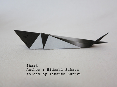 Photo Origami shark Author : Hideaki Sakata, Folded by Tatsuto Suzuki